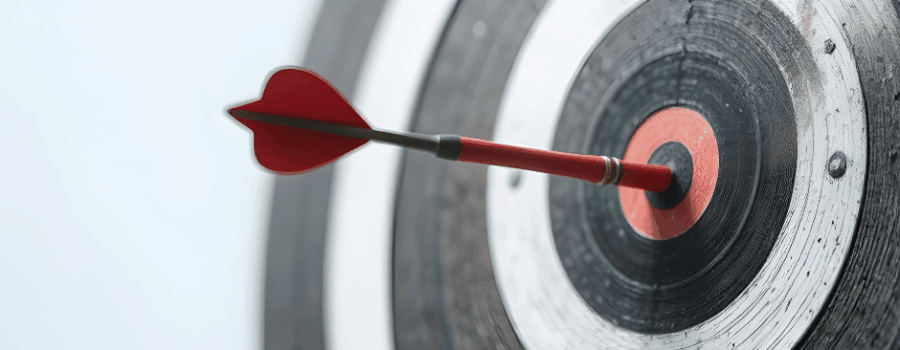 Precision Pest Control: One Whole-Structure Solution for Multiple Hidden Pests