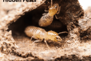 One Whole-Structure Solution for Multiple Hidden Pests