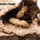 One Whole-Structure Solution for Multiple Hidden Pests