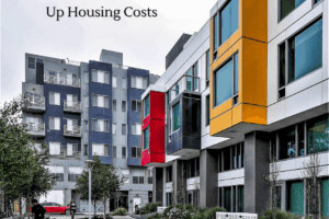 Termite Infestations Drive Up Housing Costs for Renters and Homeowners